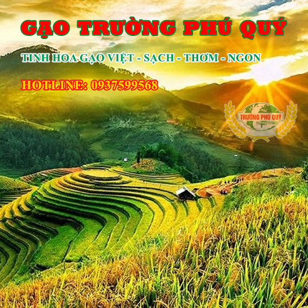 Banner mua hàng